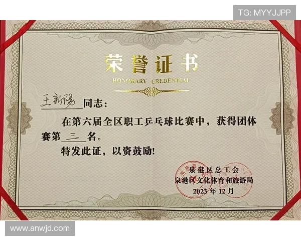 乒乓球比赛经验排行榜揭晓北京乒乓球队荣获第三名佳绩 乒乓球比赛经验排行榜揭晓北京乒乓球队荣获第三名佳绩
