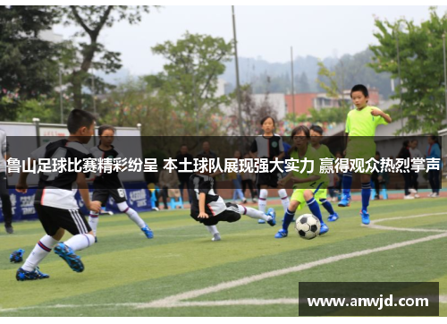 鲁山足球比赛精彩纷呈 本土球队展现强大实力 赢得观众热烈掌声