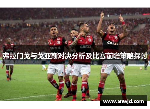 弗拉门戈与戈亚斯对决分析及比赛前瞻策略探讨